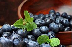 Sweet Nuts Suppliers Turkey